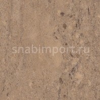 Дизайн плитка Amtico Assura Stone AA0SRS44 коричневый — купить в Москве в интернет-магазине Snabimport