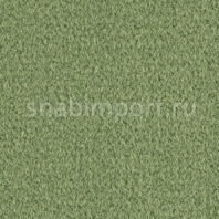 Ковровое покрытие Balsan Acadie DD 250 OLIVE зеленый — купить в Москве в интернет-магазине Snabimport