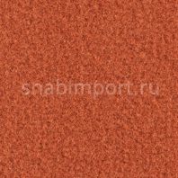 Ковровое покрытие Balsan Acadie DD 560 ARGILE оранжевый — купить в Москве в интернет-магазине Snabimport
