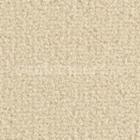 Ковровое покрытие Balsan Acadie DD 620 CRÈME Бежевый — купить в Москве в интернет-магазине Snabimport