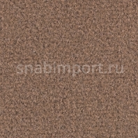Ковровое покрытие Balsan Acadie DD 770 ECUREUIL коричневый — купить в Москве в интернет-магазине Snabimport
