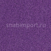 Ковровое покрытие Balsan Acadie DD 860 POURPRE Фиолетовый — купить в Москве в интернет-магазине Snabimport