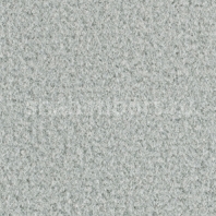 Ковровое покрытие Balsan Acadie DD 907 CUMULUS Серый — купить в Москве в интернет-магазине Snabimport