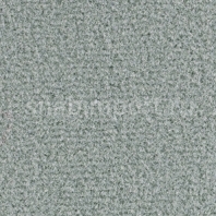 Ковровое покрытие Balsan Acadie DD 937 SOURIS Серый — купить в Москве в интернет-магазине Snabimport