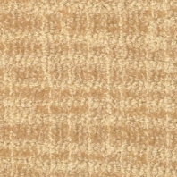 Ковровое покрытие Masland Adagio 9254-318 коричневый