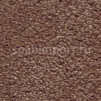 Ковровое покрытие AW ADORATION 48 коричневый — купить в Москве в интернет-магазине Snabimport