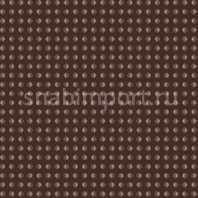 Ковровое покрытие Agnella Creation Agis-umber коричневый — купить в Москве в интернет-магазине Snabimport