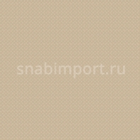 Ковровое покрытие Agnella Natural Dolomit-dark-beige Бежевый — купить в Москве в интернет-магазине Snabimport