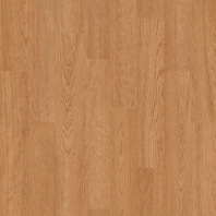 Коммерческий линолеум Altro Wood Safety Spring Maple коричневый — купить в Москве в интернет-магазине Snabimport коричневый
