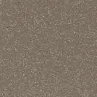 Коммерческий линолеум Altro Classic 25 Truffle Серый — купить в Москве в интернет-магазине Snabimport