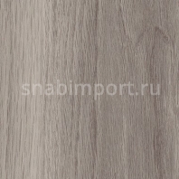 Дизайн плитка Amtico Marine Wood AM5W2550 Серый — купить в Москве в интернет-магазине Snabimport