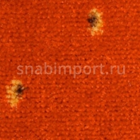 Ковровое покрытие Nordpfeil Hotel-Collection Amati 077 Оранжевый — купить в Москве в интернет-магазине Snabimport