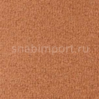 Ковровое покрытие Radici Pietro Forum AMBRA 2102 коричневый — купить в Москве в интернет-магазине Snabimport