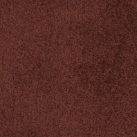 Ковровое покрытие Masland Americana 9439-186 коричневый — купить в Москве в интернет-магазине Snabimport