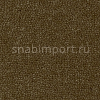 Ковровое покрытие Rols Annabelle 808 коричневый — купить в Москве в интернет-магазине Snabimport