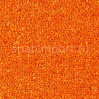 Ковровое покрытие Rols Annabelle 816 оранжевый — купить в Москве в интернет-магазине Snabimport