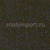 Ковровое покрытие Rols Annabelle 824 серый — купить в Москве в интернет-магазине Snabimport