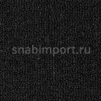 Ковровое покрытие Rols Annabelle 827 черный — купить в Москве в интернет-магазине Snabimport