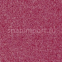 Ковровое покрытие Rols Annabelle 836 красный — купить в Москве в интернет-магазине Snabimport