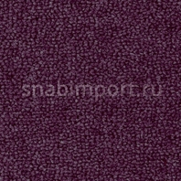 Ковровое покрытие Rols Annabelle 837 фиолетовый — купить в Москве в интернет-магазине Snabimport