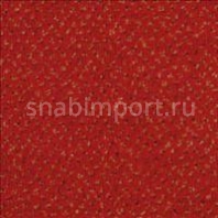 Ковровое покрытие ITC Balta Apollo 150A коричневый — купить в Москве в интернет-магазине Snabimport