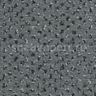 Ковровое покрытие Condor Carpets Apollo 76 Серый — купить в Москве в интернет-магазине Snabimport