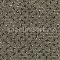 Ковровое покрытие Condor Carpets Apollo 90 Серый — купить в Москве в интернет-магазине Snabimport
