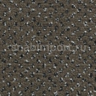 Ковровое покрытие Condor Carpets Apollo 92 коричневый — купить в Москве в интернет-магазине Snabimport