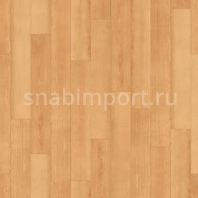 Дизайн плитка Armstrong Scala 55 PUR Wood 25012-166 Бежевый — купить в Москве в интернет-магазине Snabimport
