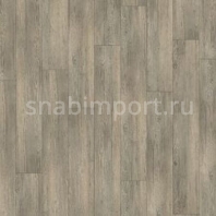 Дизайн плитка Armstrong Scala 55 PUR Wood 25105-150 коричневый