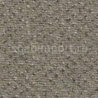 Ковровое покрытие Condor Carpets Argus New 309 Серый — купить в Москве в интернет-магазине Snabimport