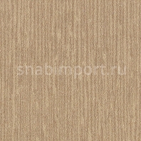 Ковровое покрытие Karastan Artisan Brush Dried Apple коричневый — купить в Москве в интернет-магазине Snabimport