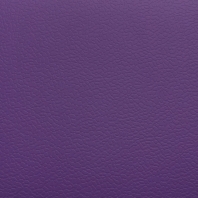 Спортивный линолеум DLV Multi AS-160-4-Purple (4 мм) Фиолетовый