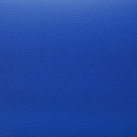 Спортивный линолеум DLV Multi AS-160-6-Blue (6 мм) синий