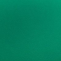 Спортивный линолеум DLV Badminton AS-160-6-Green (6 мм) зеленый