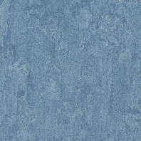 Натуральный линолеум Forbo Marmoleum Authentic-3055 синий — купить в Москве в интернет-магазине Snabimport