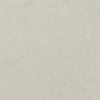 Натуральный линолеум Forbo Marmoleum Authentic-3860 Серый