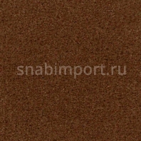 Ковровое покрытие Radici Pietro Admiral AUTUNNO 631 коричневый — купить в Москве в интернет-магазине Snabimport