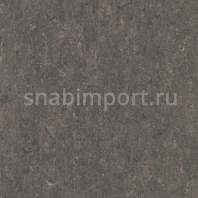 Натуральный линолеум Armstrong Marmorette LPX 121-158 (3,2 мм) — купить в Москве в интернет-магазине Snabimport