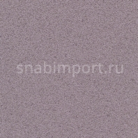Виниловые обои Koroseal Ceres B321-51 Фиолетовый — купить в Москве в интернет-магазине Snabimport