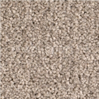 Ковровое покрытие Balsan BOLERO ROLL 720 MARRON GLACE — купить в Москве в интернет-магазине Snabimport