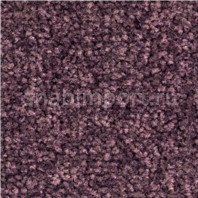 Ковровое покрытие Balsan BOLERO ROLL 870 PURPLE — купить в Москве в интернет-магазине Snabimport