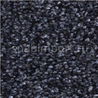 Ковровое покрытие Balsan Feelings 990 NOCTURNE — купить в Москве в интернет-магазине Snabimport