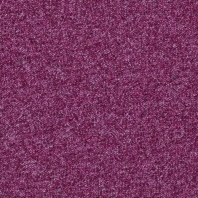 Ковровая плитка Forbo Tessera Basis-374 Фиолетовый — купить в Москве в интернет-магазине Snabimport