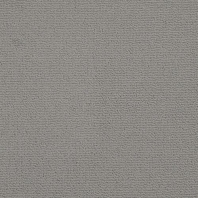 Ковровое покрытие Masland Basis 7238-32812 Серый — купить в Москве в интернет-магазине Snabimport