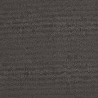 Ковровое покрытие Masland Basis 7238-32814 чёрный — купить в Москве в интернет-магазине Snabimport
