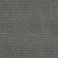 Ковровое покрытие Masland Basis 7238-32815 Серый — купить в Москве в интернет-магазине Snabimport