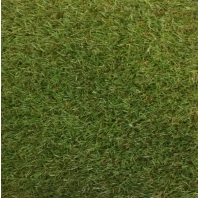 Искусственная трава Betap Quinny зеленый — купить в Москве в интернет-магазине Snabimport