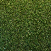 Искусственная трава Betap-Robina зеленый