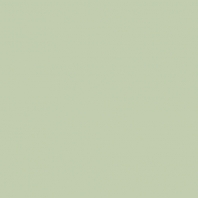 Краска Oikos Фасадная линия BIOCOMPACT ELASTIC Bio-elast-CP4040 Серый — купить в Москве в интернет-магазине Snabimport